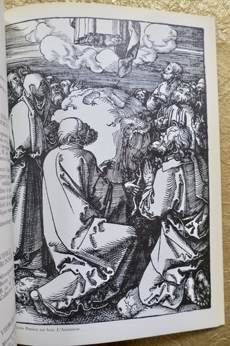 Eine Studie über Albert Dürer - Image 5