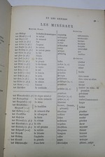 Allemand Les mots et les genres en allemand 1886 – Image 11