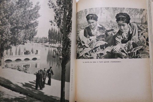 Eine Reise in die Kirghizie - Image 6