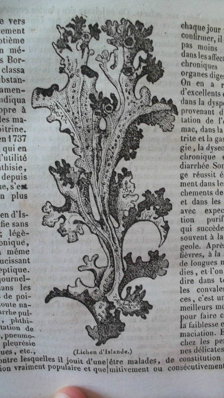 French Almanach by National Society - Image 6