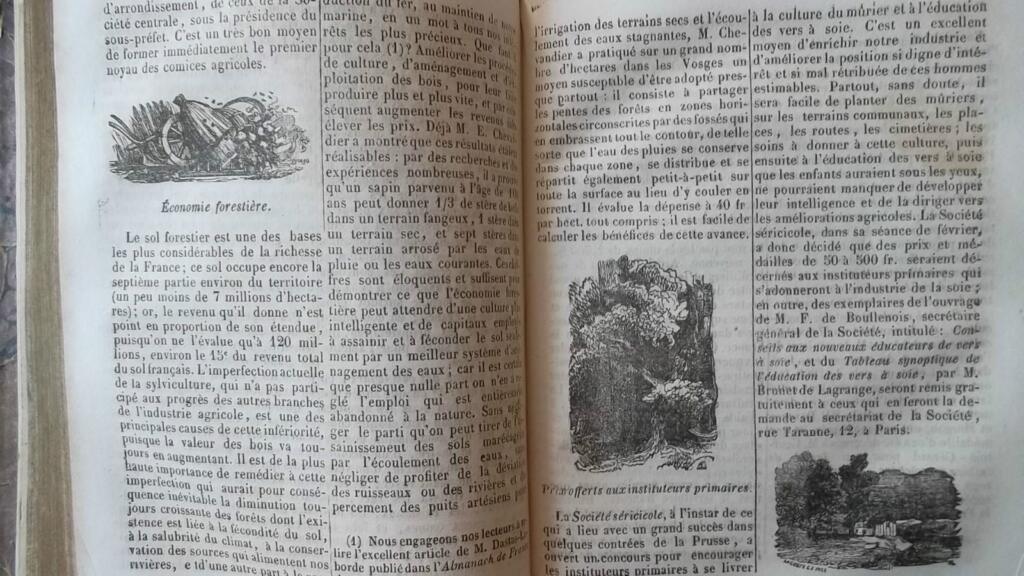 French Almanac: Laws, Science & Progress 1845-1847