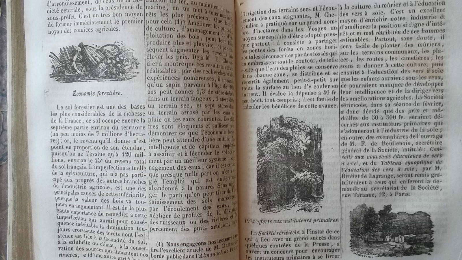 French Almanach by National Society - Image 3