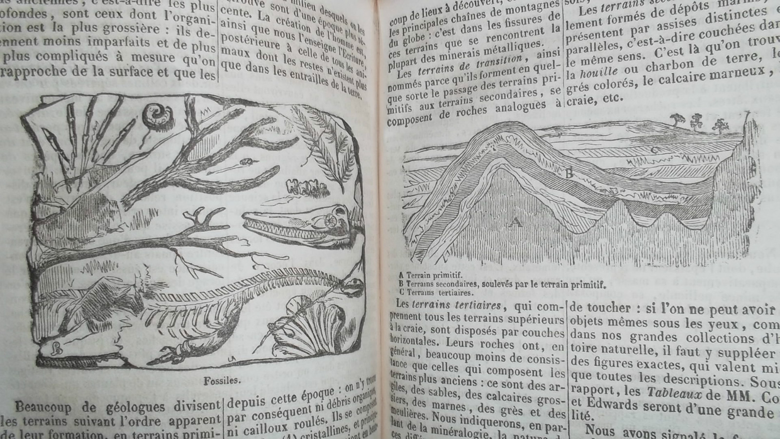 French Almanach by National Society - Image 9