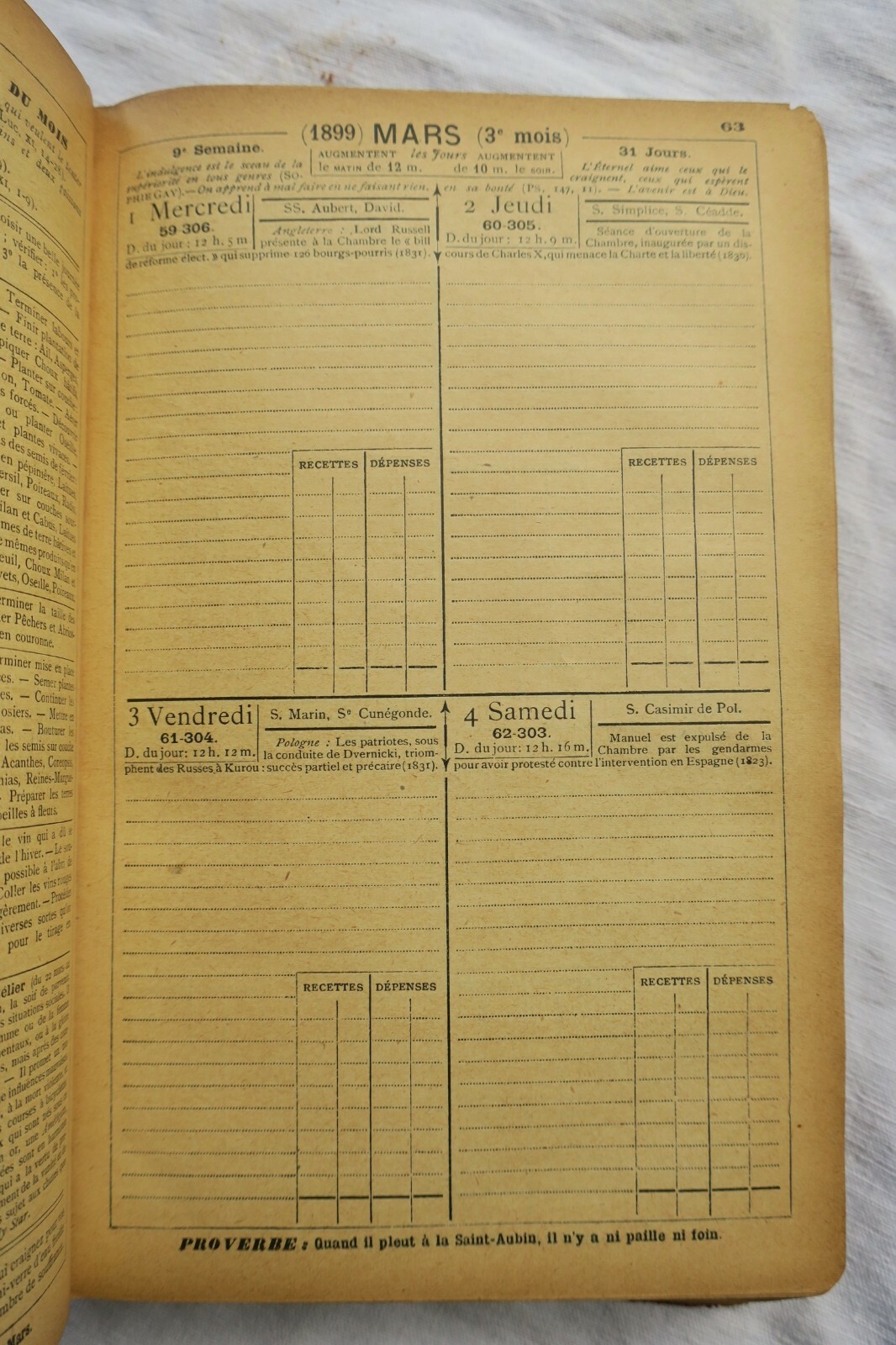 Practical Life Encyclopedia - Image 5