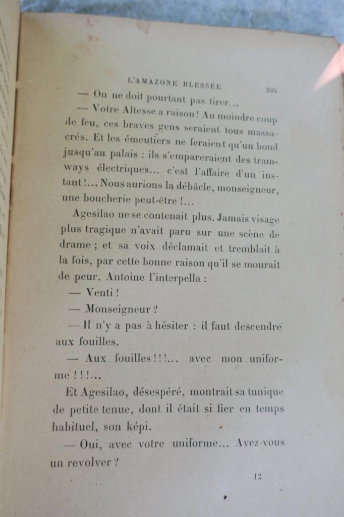 Amazone blessée Envoi de l’auteur