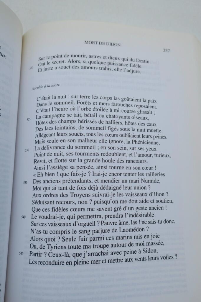Sieben lateinische Dichter singen von der Liebe