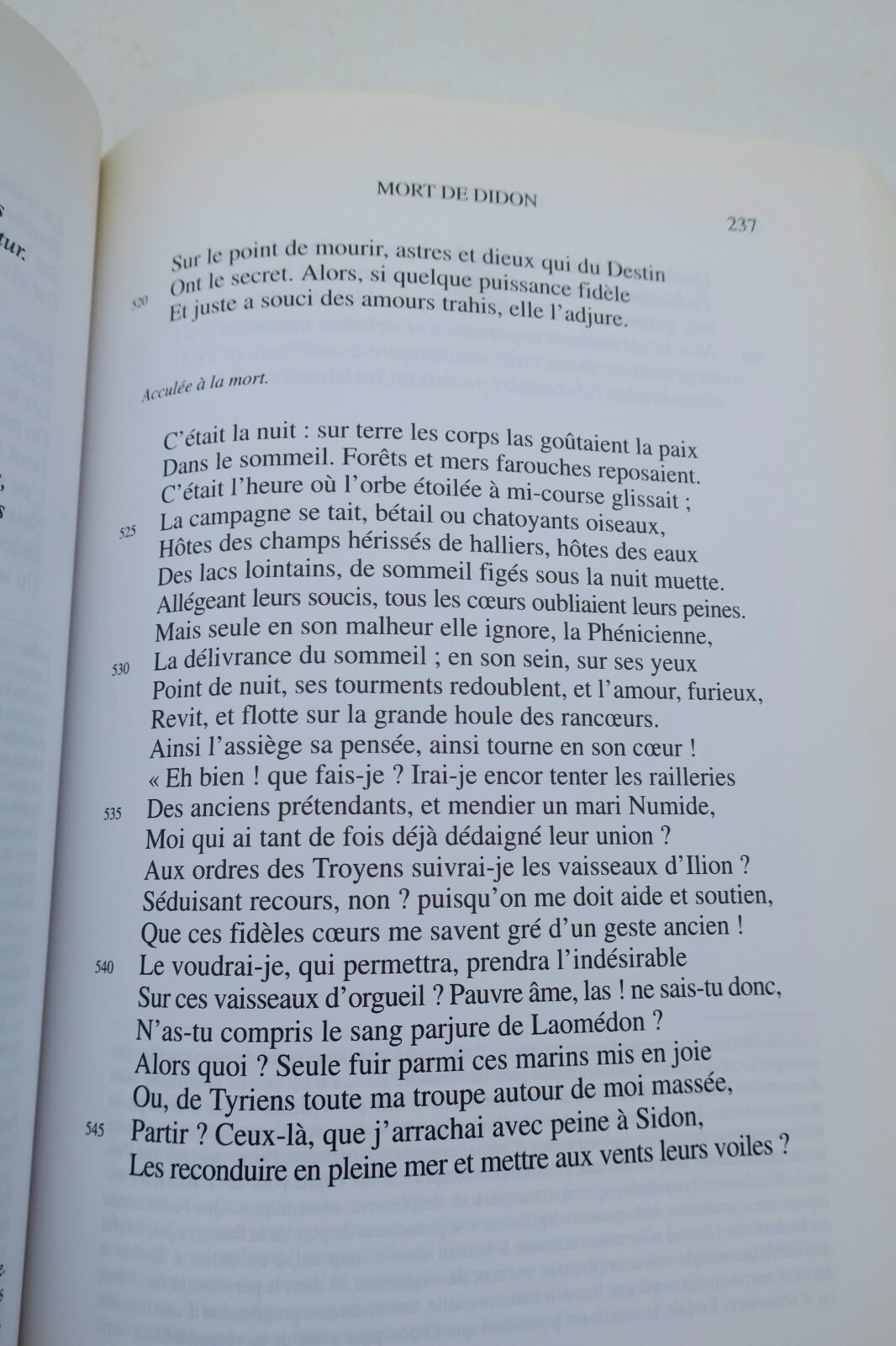 Seven Latin poets sing of love - Image 3