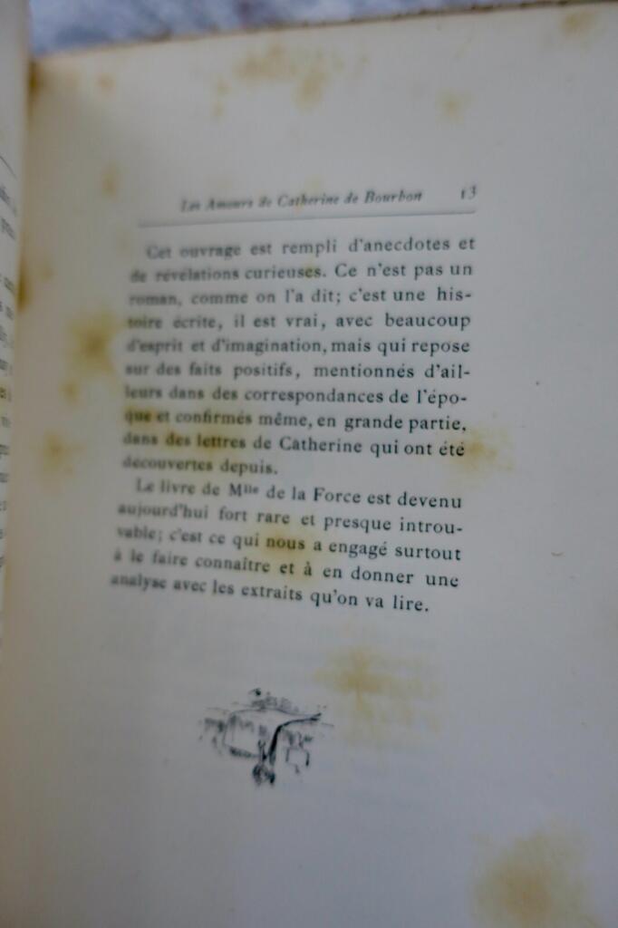 Liebesgeschichte von Catherine de Bourbon