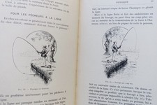 科学的楽しみ:簡単な実験 - Image 9