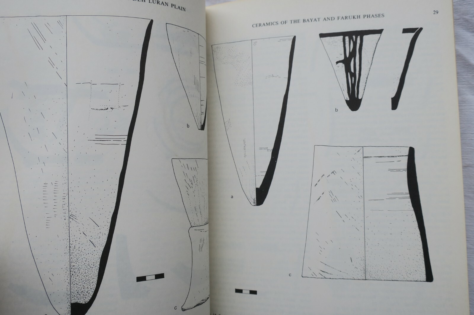 Excavation insights from Deh Luran Plain - Image 11