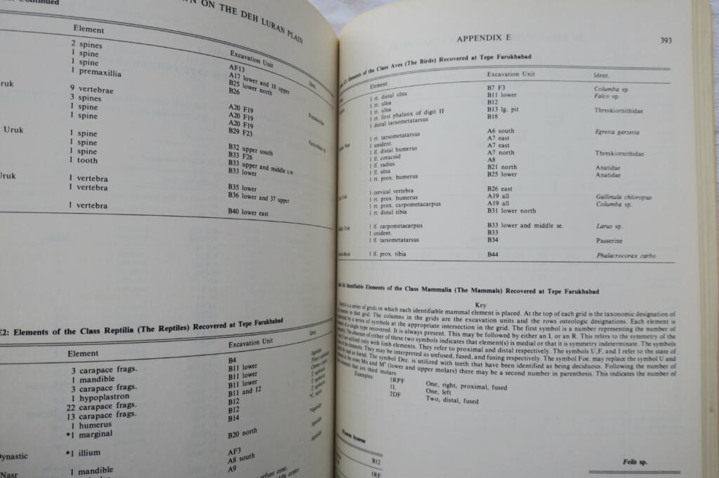 Ausgrabungsberichte vom Deh Luran Plain