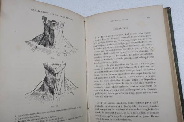 anatomie d’anthropologie et d’ethnographie appliquées 1886