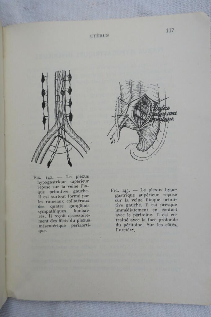 anatomie descriptive et régionale Dupuy de Frenelle