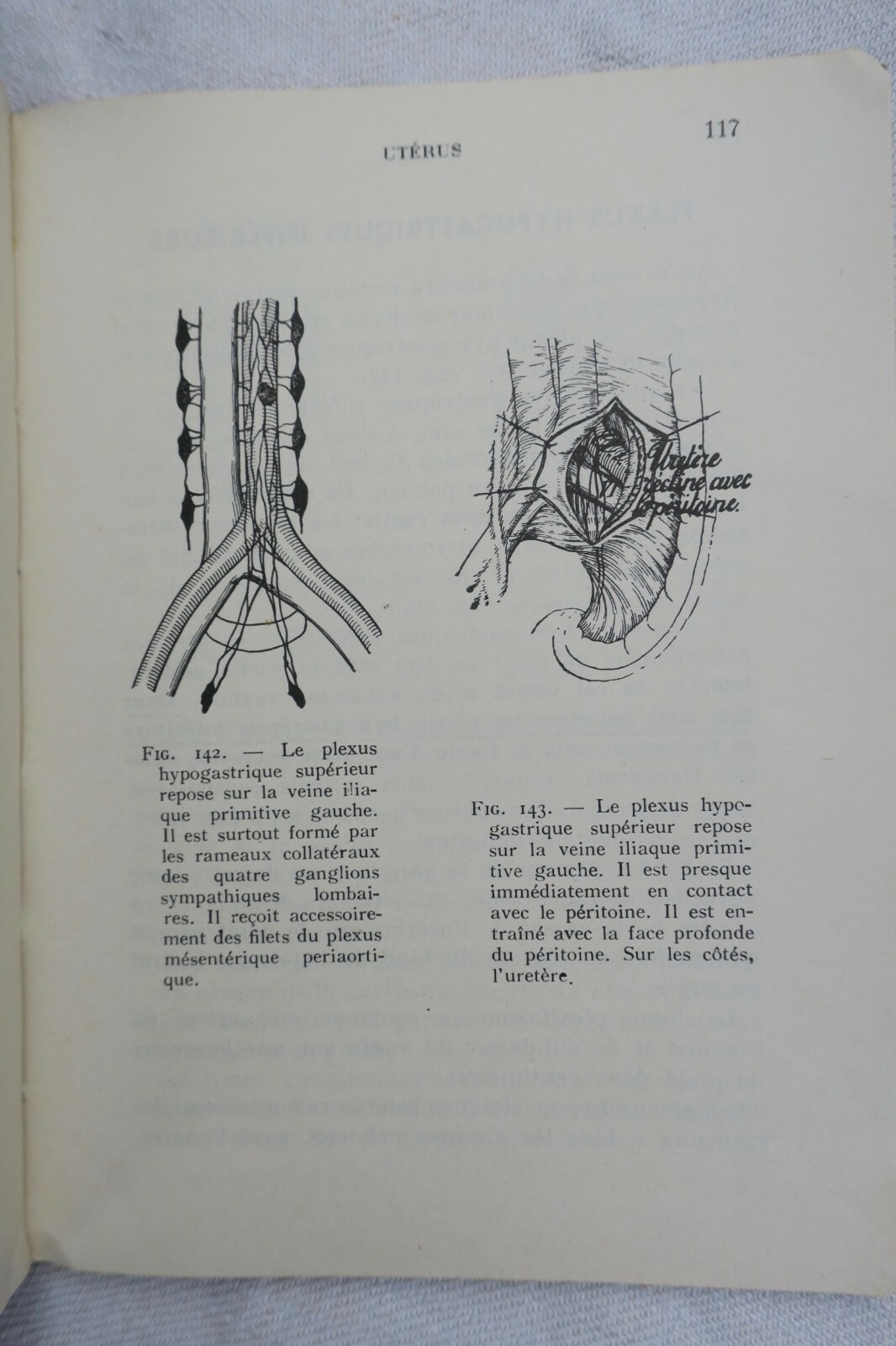 anatomie descriptive et régionale Dupuy de Frenelle – Image 4