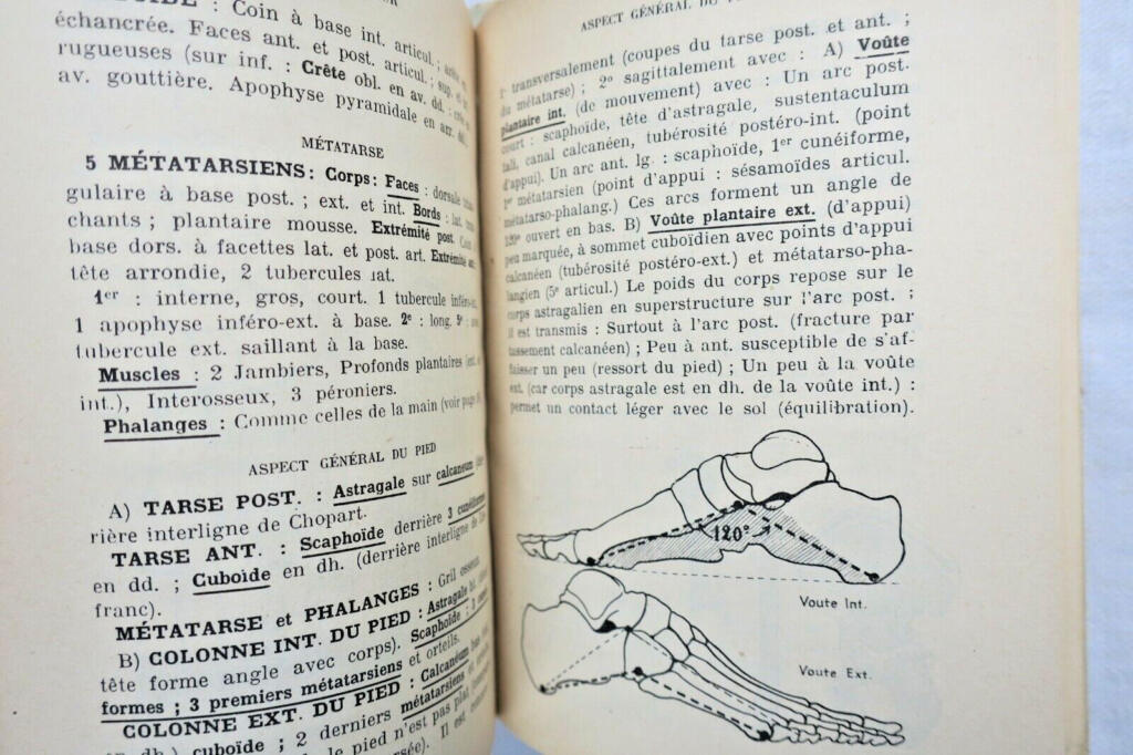 anatomie descriptive et régionale Dupuy de Frenelle