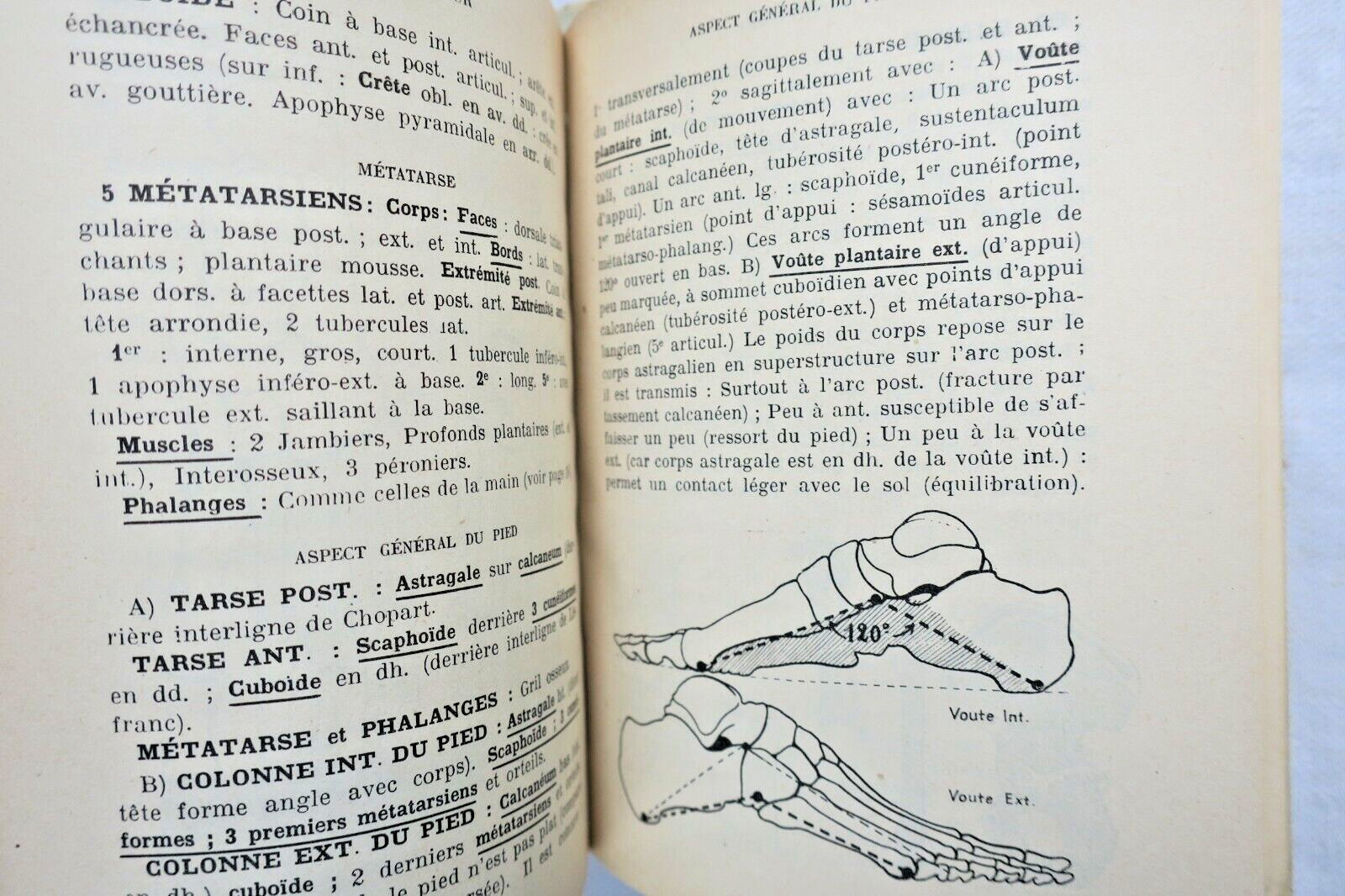 anatomie descriptive et régionale Dupuy de Frenelle – Image 12