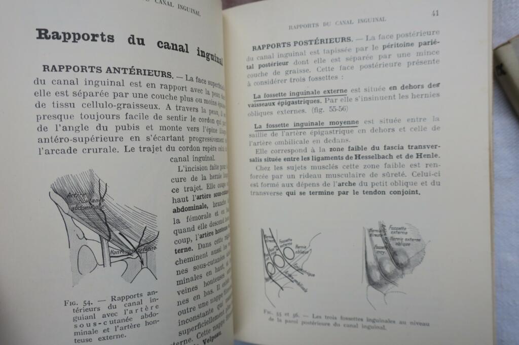 anatomie descriptive et régionale Dupuy de Frenelle