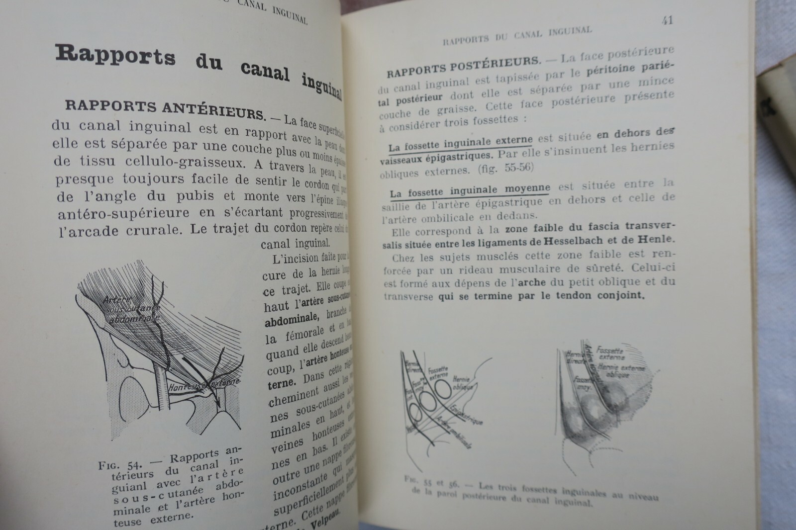 anatomie descriptive et régionale Dupuy de Frenelle – Image 11