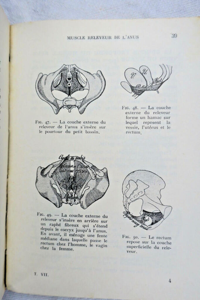 anatomie descriptive et régionale Dupuy de Frenelle
