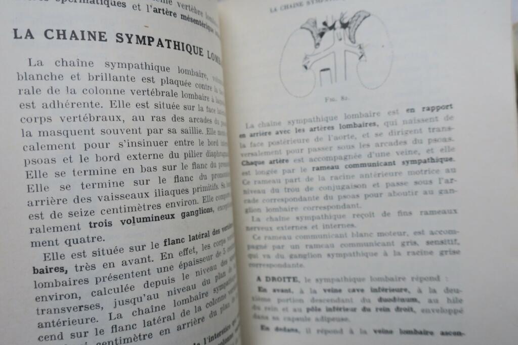 anatomie descriptive et régionale Dupuy de Frenelle