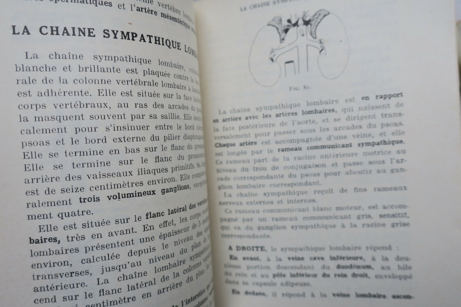 anatomie descriptive et régionale Dupuy de Frenelle – Image 8