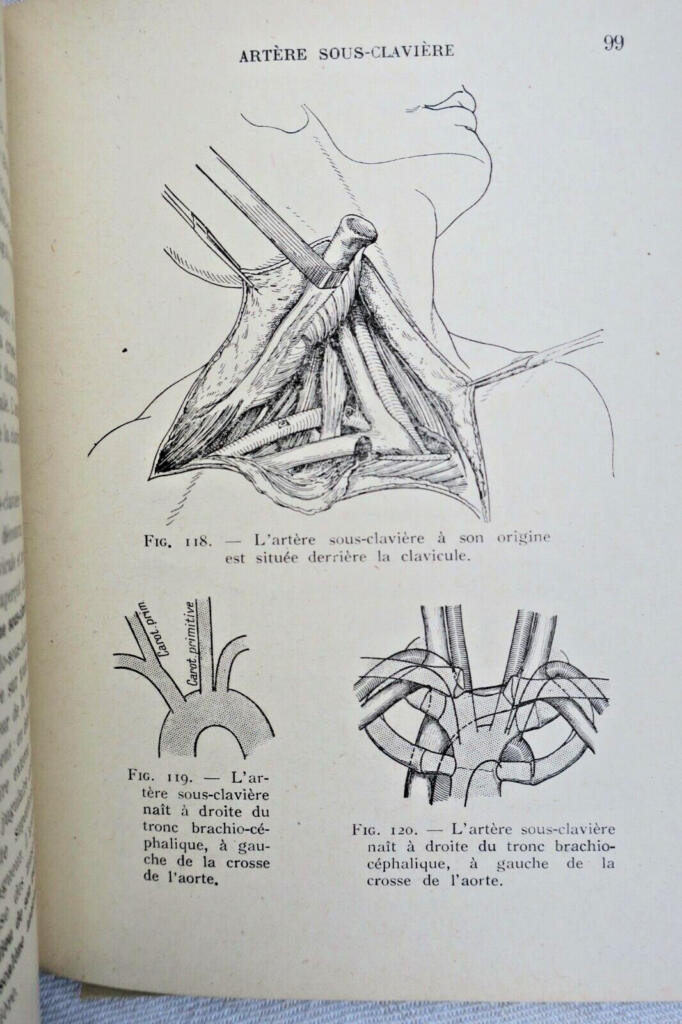 anatomie descriptive et régionale Dupuy de Frenelle