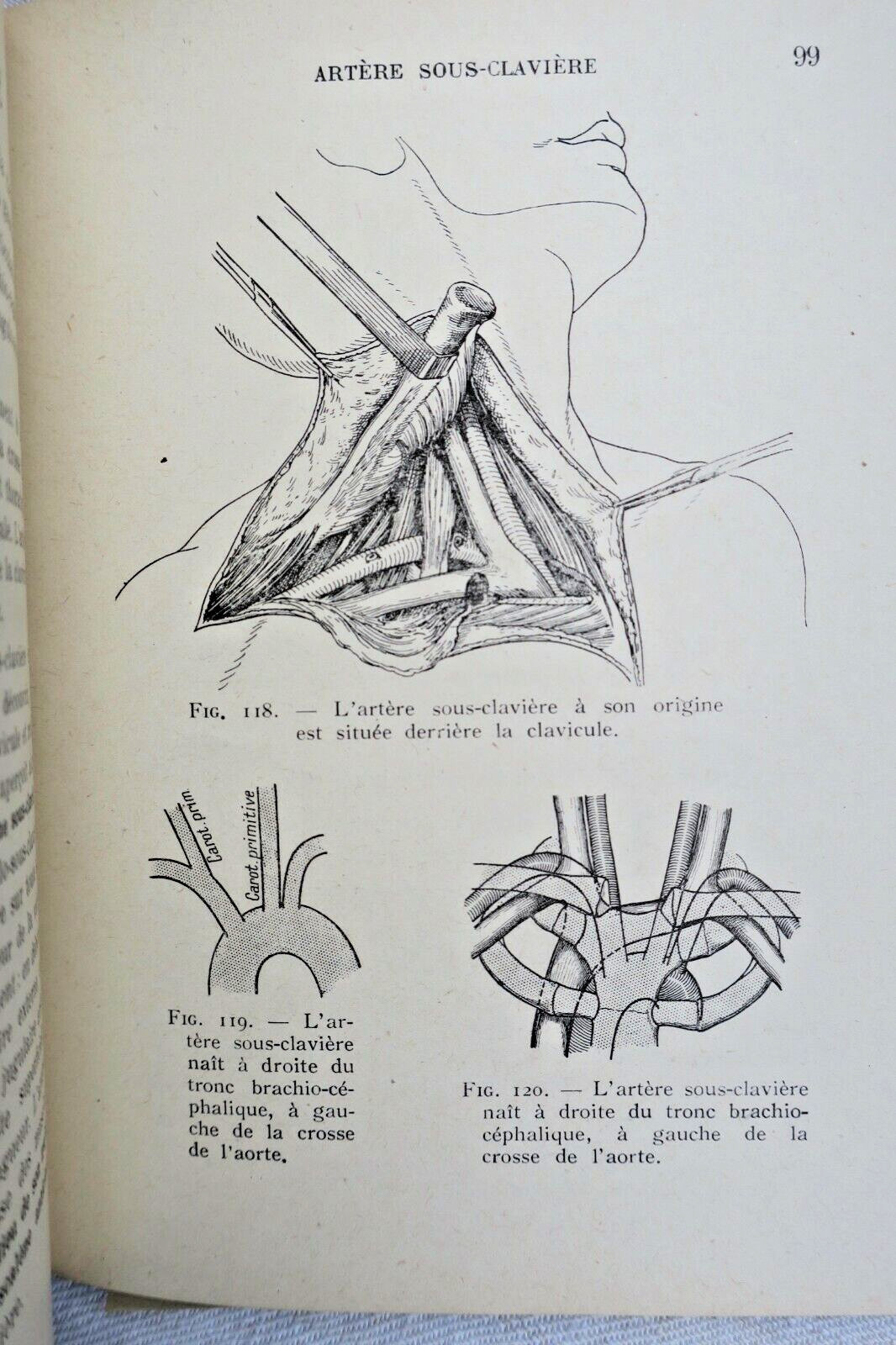 anatomie descriptive et régionale Dupuy de Frenelle – Image 3