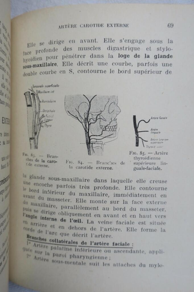 anatomie descriptive et régionale Dupuy de Frenelle
