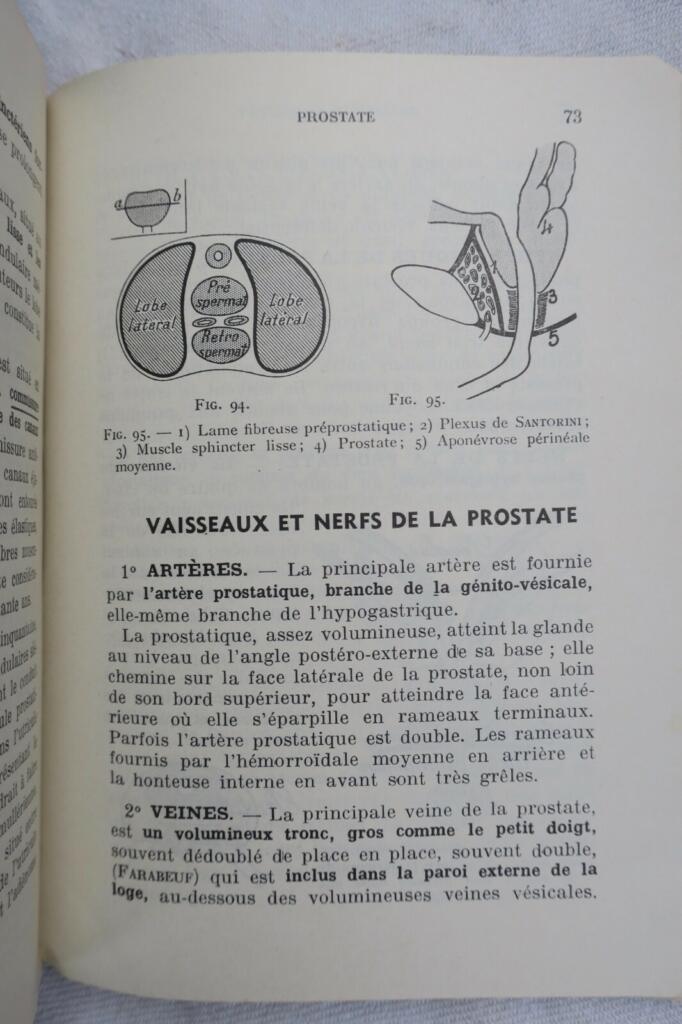 anatomie descriptive et régionale Dupuy de Frenelle