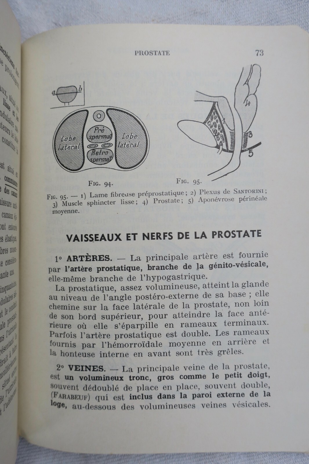 anatomie descriptive et régionale Dupuy de Frenelle – Image 5