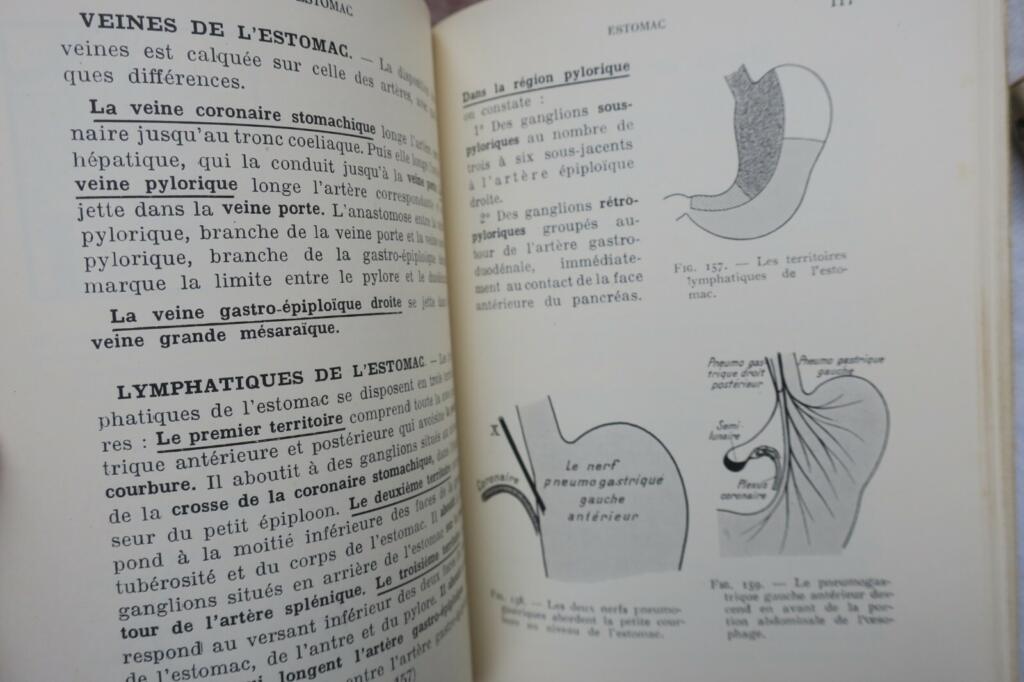 anatomie descriptive et régionale Dupuy de Frenelle