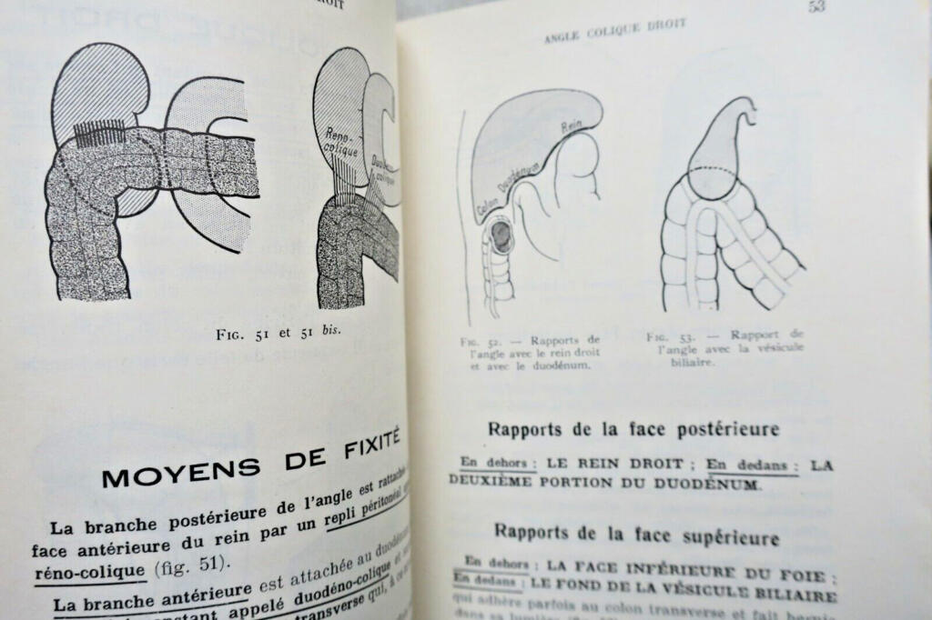 anatomie descriptive et régionale Dupuy de Frenelle