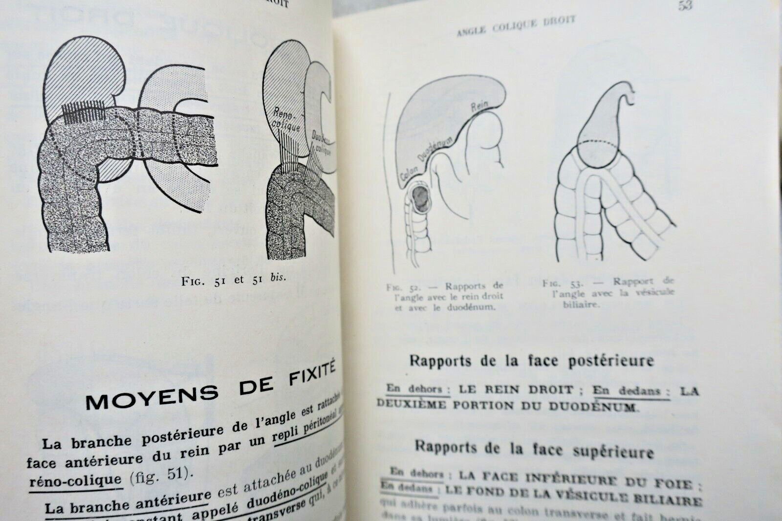 anatomie descriptive et régionale Dupuy de Frenelle – Image 9