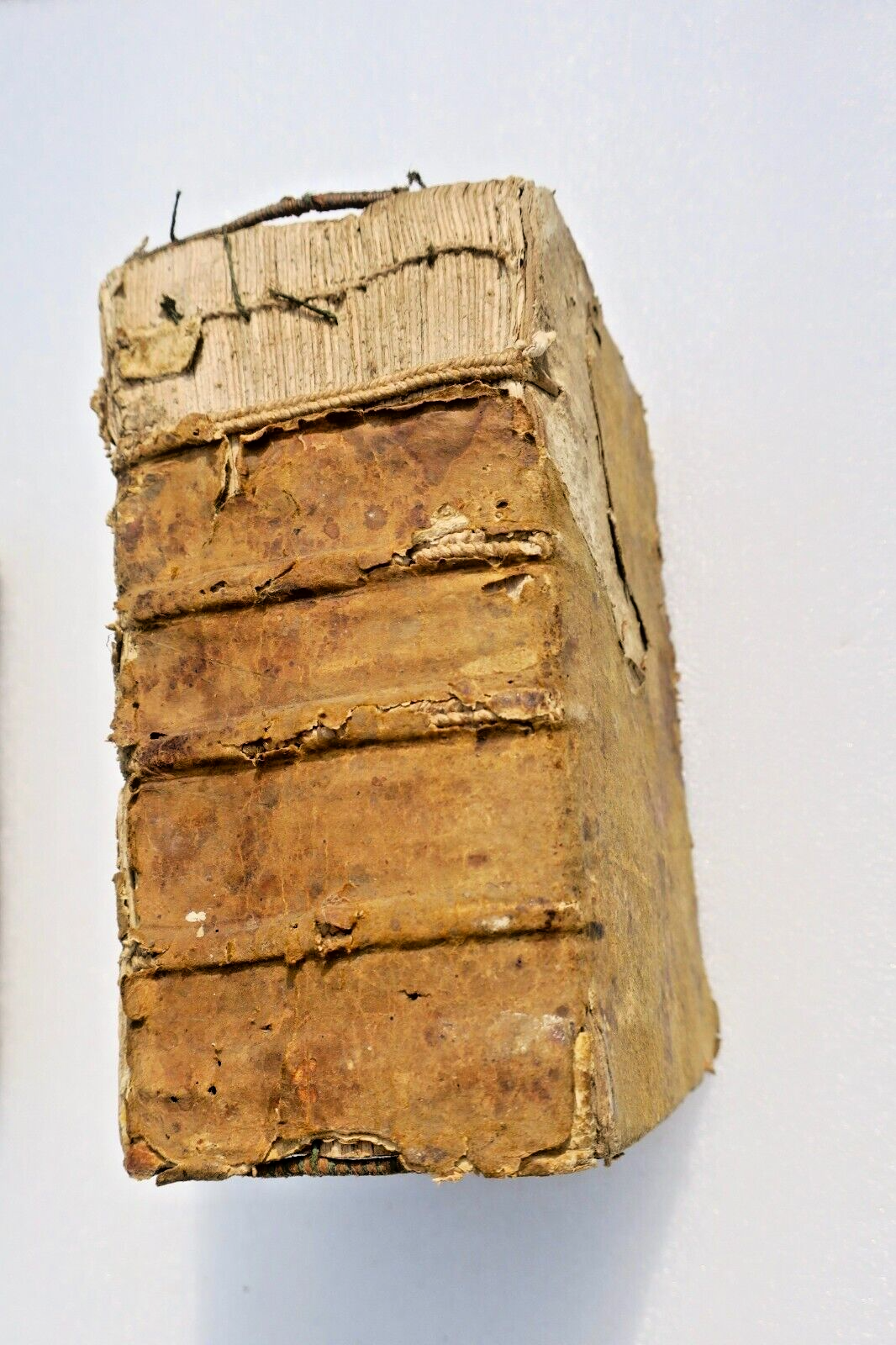 ancien CUJAS Iacobi CUIACII praeclarissimi observationum et emendationum 1591 – Image 2