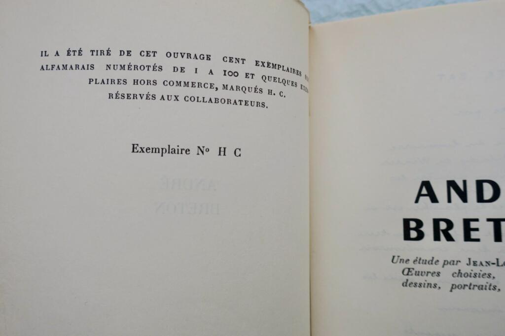 Studie über André Breton mit Illustrationen