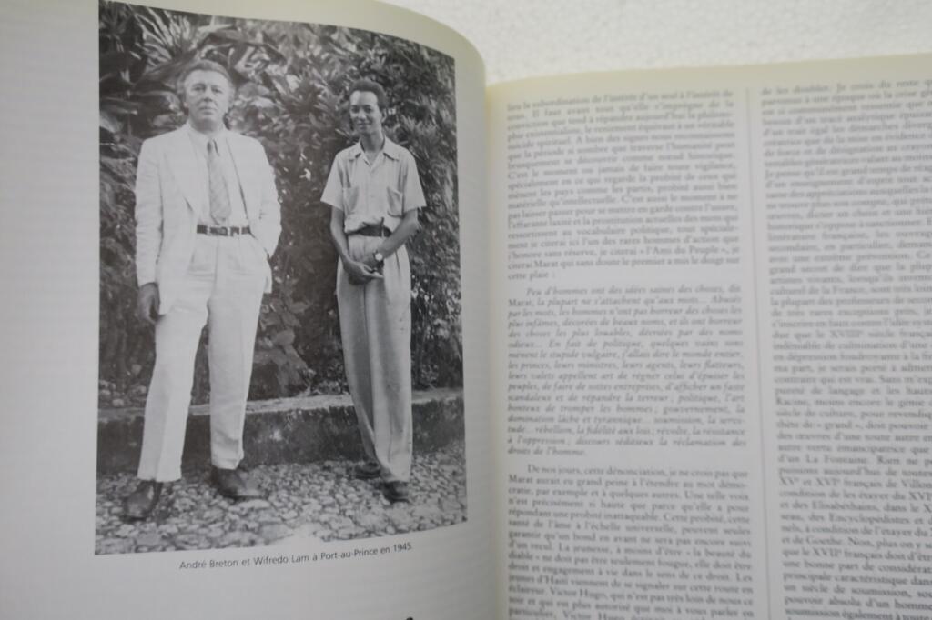 André Breton and Surrealism Overview