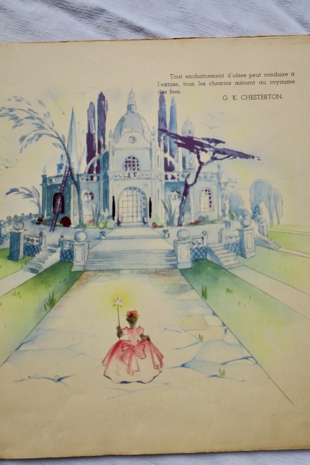 Anémones Abenteuer in einem sternenreichen Land