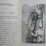 animaux à métamorphoses 1867 - La Librairie Antique
