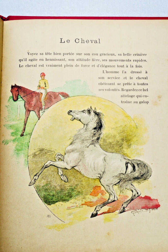 Domestic Animals Educational Primer