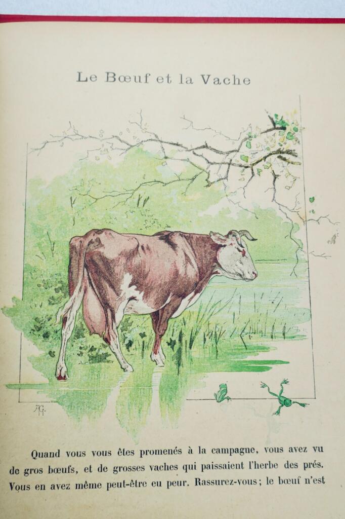Domestic Animals Educational Primer