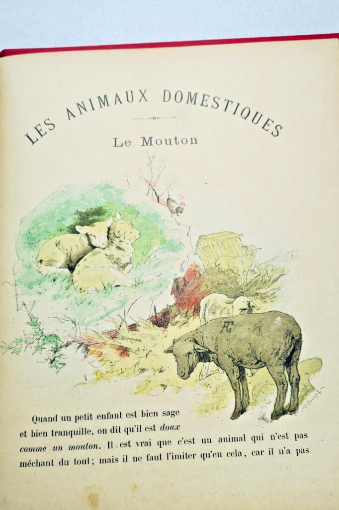Domestic Animals Educational Primer