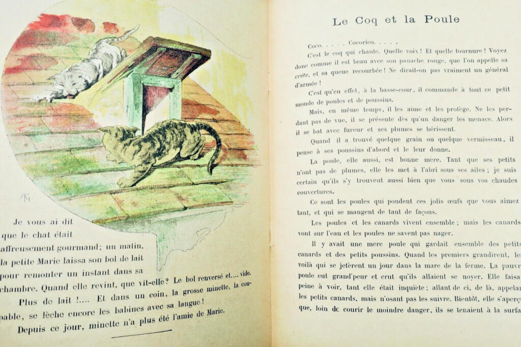 Domestic Animals Educational Primer