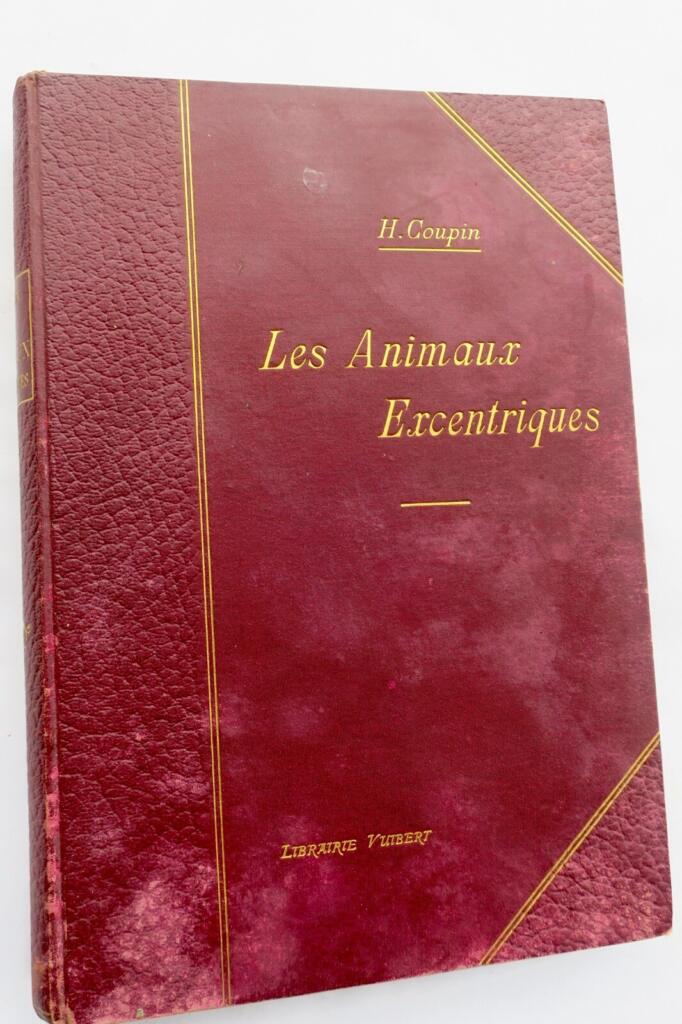 ANIMAUX EXCENTRIQUES 1906 Exzentrische Tiere Buch Antiquariat