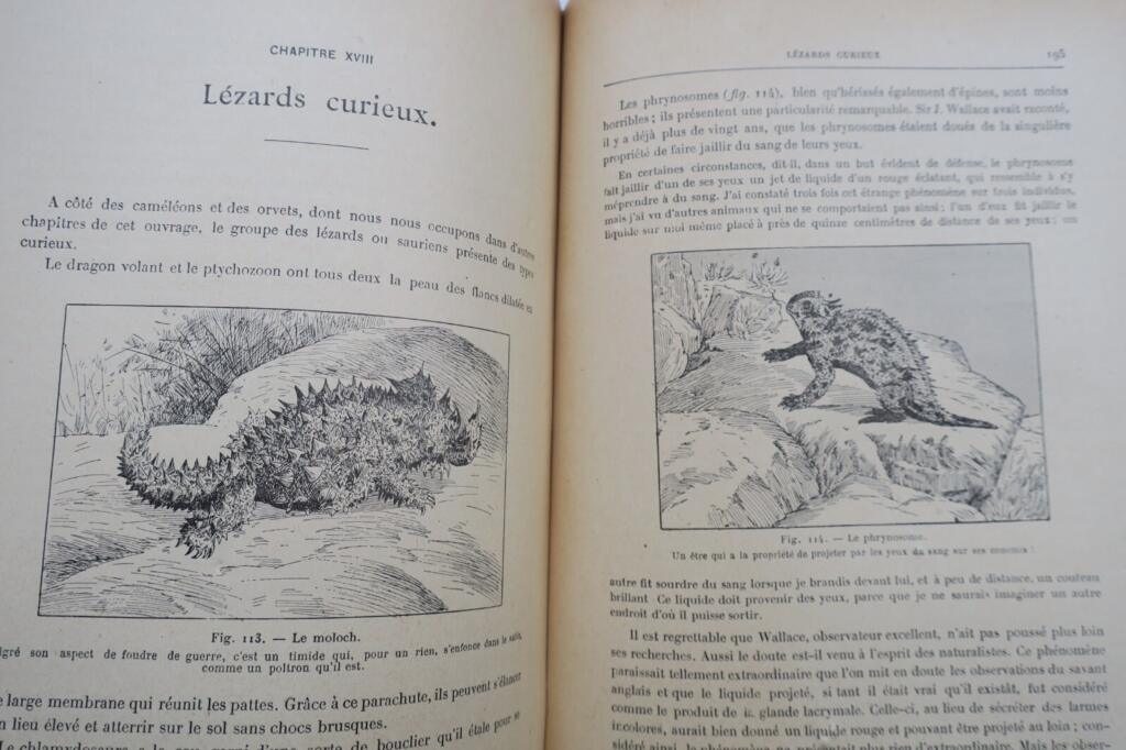 ANIMAUX EXCENTRIQUES 1906 Exzentrische Tiere Buch Antiquariat