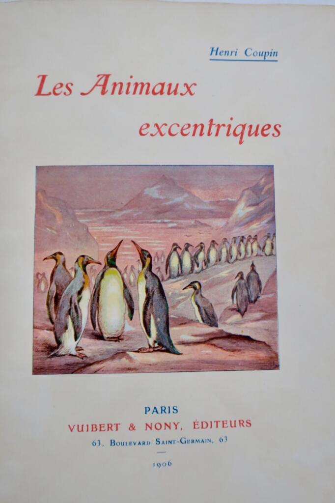 ANIMAUX EXCENTRIQUES 1906