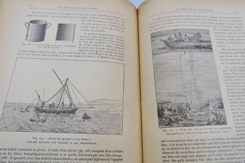 ANIMAUX EXCENTRIQUES 1906