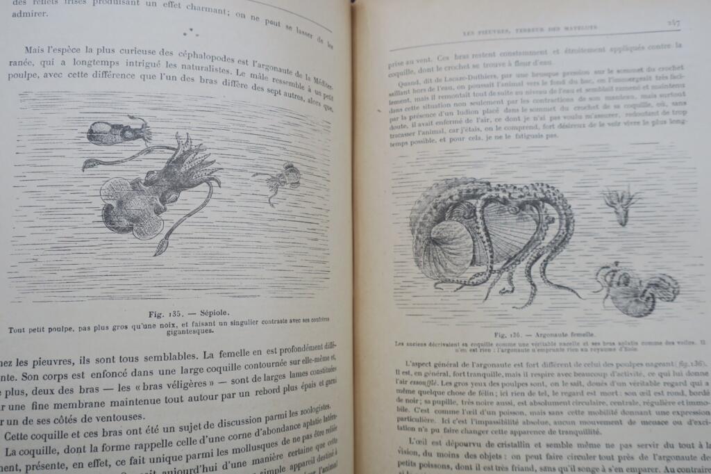 ANIMAUX EXCENTRIQUES 1906 Exzentrische Tiere Buch Antiquariat