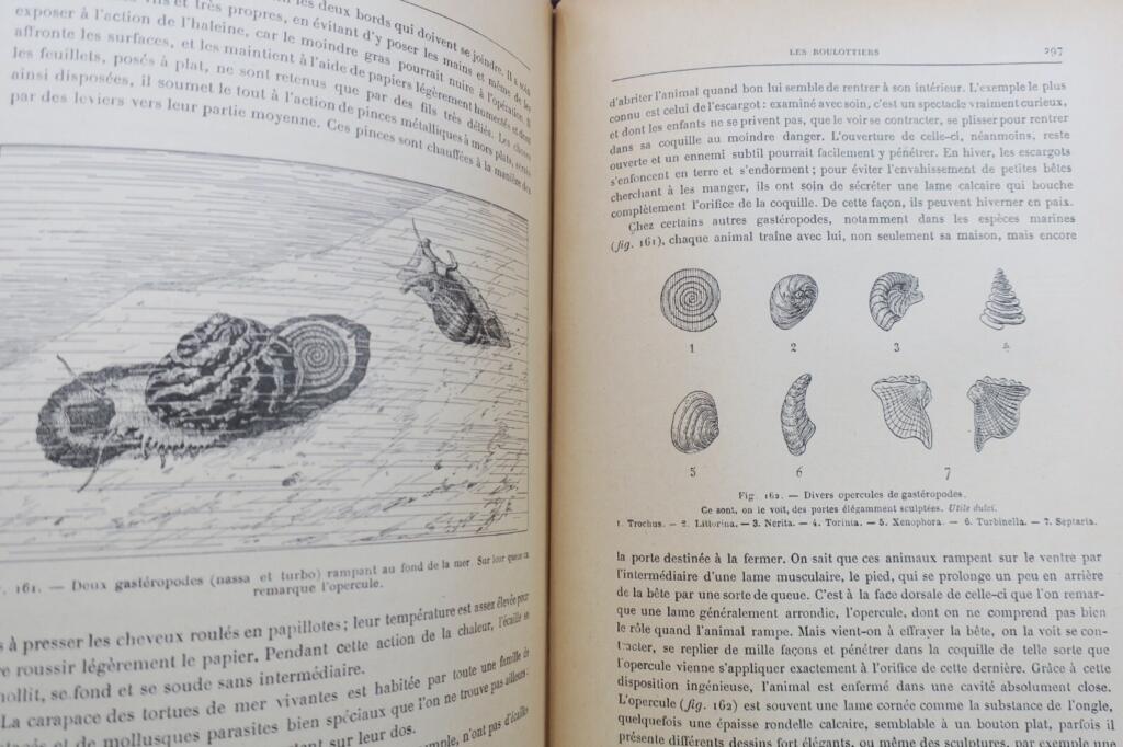 ANIMAUX EXCENTRIQUES 1906 Exzentrische Tiere Buch Antiquariat