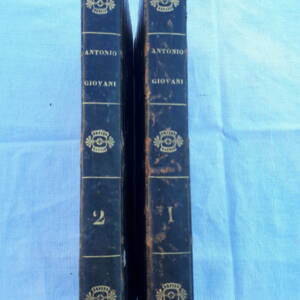 Nanine Souvestre - A Classic Tale