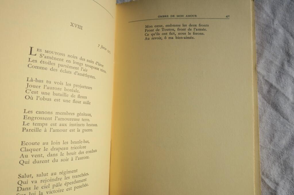 Schatten meiner Liebe - Apollinaire & Picasso